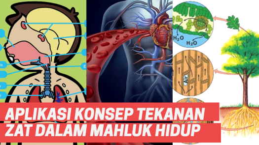 Pengukuran tekanan darah manusia dapat diukur menggunakan alat yang disebut tensimeter. Aplikasi Konsep Tekanan Zat Dalam Mahluk Hidup