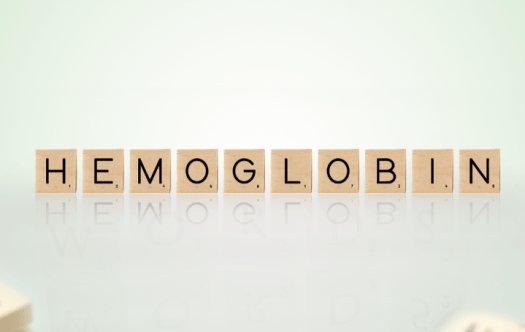 Download Apabila Darah Kita Kekurangan Hemoglobin, Maka Yang Terjadi Adalah
&nbsp;PNG