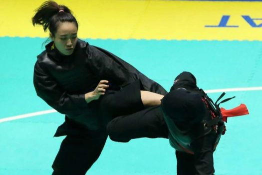 Get Teknik Tendangan Dalam Pencak Silat Yang Masuk Sasaran Mendapat Nilai
&nbsp;PNG