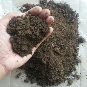 18+ Pupuk Organik Dapat Berupa Kompos Hijau Dan Kompos Buatan Yang Berasal Dari
&nbsp;Background