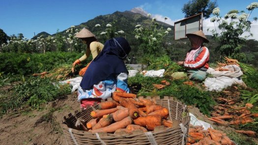 28+ Jelaskan Hubungan Antara Jenis Kegiatan Ekonomi Dan Mata Pencaharian Masyarakat
&nbsp;Pictures