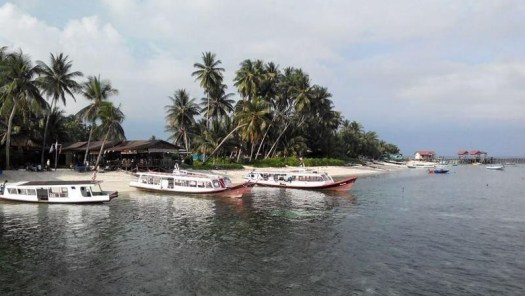 Download Sebutkan Negara-Negara Tetangga Yang Berbatasan Darat Dengan Wilayah Indonesia
&nbsp;Gif