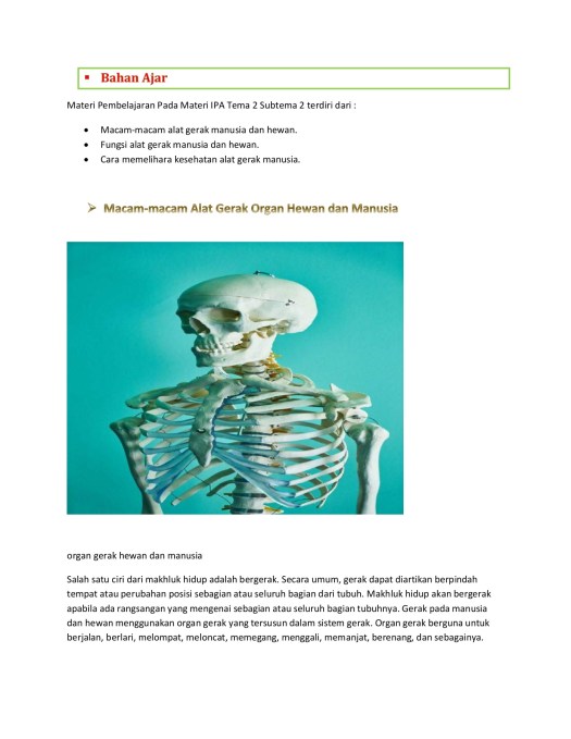 View Sikap Tubuh Membungkuk Saat Membaca Dapat Mengakibatkan Kelainan Tulang Yaitu
Pictures