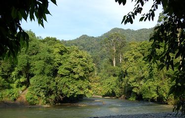 29+ Upaya Pelestarian Sumber Daya Alam Salah Satunya Untuk Mencegah Terjadinya
Pictures