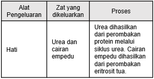 Download Berikut Ini Fungsi Hati Yang Berkaitan Dengan Fungsi Pencernaan Makanan Adalah&nbsp;Pics