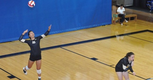 Get Berikut Ini Yang Tidak Termasuk Teknik Dasar Permainan Bola Voli Adalah
Pictures