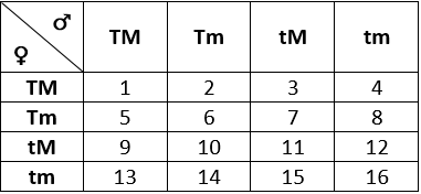 Download Mangga Manis Berbuah Besar Memiliki Genotipe Mmbb Gamet Untuk Genotip Tersebut Adalah
&nbsp;Pictures