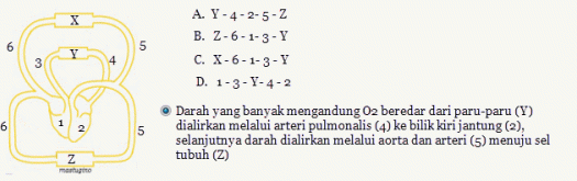 Download Darah Yang Banyak Mengandung O2 Terdapat Dalam Pembuluh Darah Yang Mengalirkan Darah Dari …. *&nbsp;Pictures