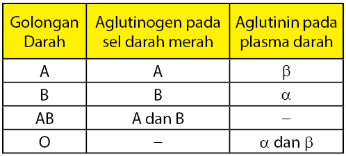 Get Pasangan Aglutinogen Dan Aglutinin Yang Menunjukkan Golongan Darah O Adalah
&nbsp;Pics