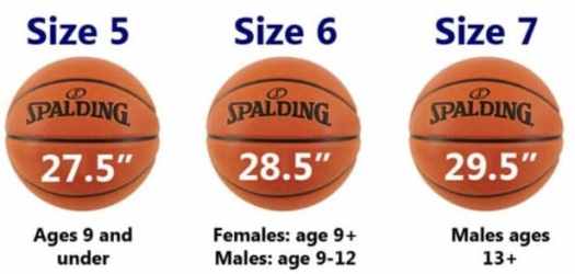 View Permainan Bola Basket Mini Merupakan Modifikasi Dari Permainan Bola Basket
Pics