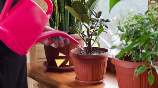 Download Limbah Cair Yang Tidak Dapat Digunakan Untuk Menyiram Tanaman Adalah
&nbsp;Pictures