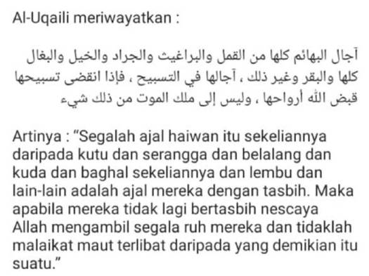 49+ Apa Yang Dilakukan Oleh Orang Yang Beriman Kepada Malaikat Izrail
&nbsp;PNG