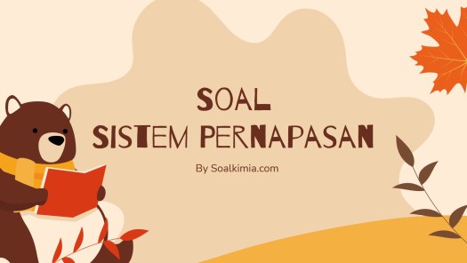 50+ Keluarnya Udara Pernapasan Dari Paru-Paru Adalah Karena Rongga Dada
&nbsp;Background