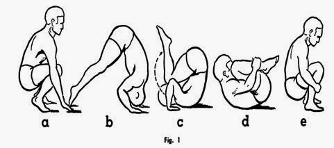 21+ Sikap Awal Roll Depan Dapat Dilakukan Dengan Dua Cara Yaitu
&nbsp;Pics