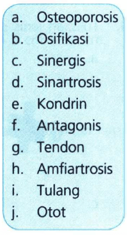 View Jaringan Pada Hewan Yang Berfungsi Sebagai Alat Gerak Aktif Adalah&nbsp;Background