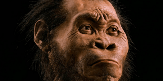 View Sebutan Pithecanthropus Erectus Menunjukkan Ciri Khusus Manusia Purba Ini Yaitu
&nbsp;Images