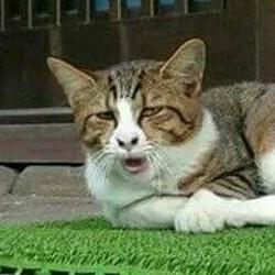 34+ Jika Kita Mendengar Lagu Yang Terdengar Hanya Suara Musik Dinamakan
&nbsp;Pictures