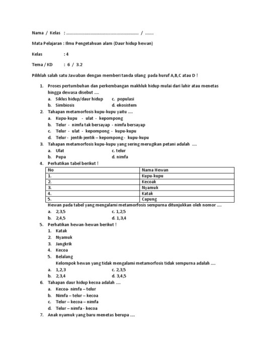 42+ Tahapan Metamorfosis Kupu-Kupu Yang Sering Merugikan Para Petani Adalah
&nbsp;Background