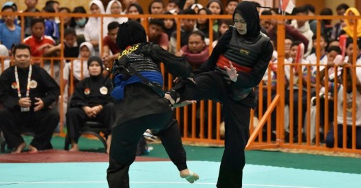 17+ Pencak Silat Adalah Salah Satu Cabang Olahraga Bela Diri Yang Berasal Dari
&nbsp;Pictures
