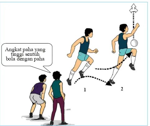 38+ Gerakan Pergelangan Tangan Yang Benar Saat Stick Mengenai Bola Pada Prinsip Dasar Memukul Adalah
&nbsp;Background