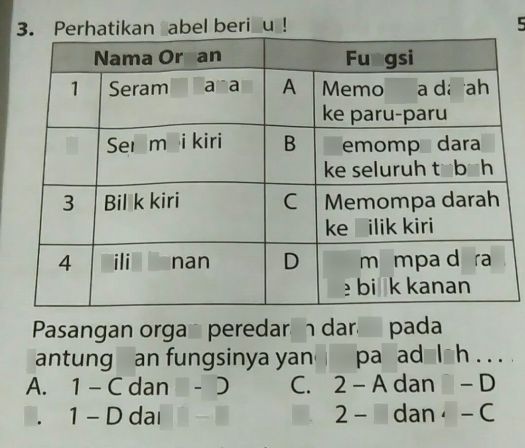 13+ Organ Tubuh Manusia Yang Berfungsi Memompa Darah Keseluruh Tubuh Adalah
&nbsp;Gif