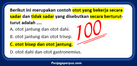 41+ Posisi Badan Yang Benar Saat Akan Melakukan Gerakan Meroda Adalah
&nbsp;Images