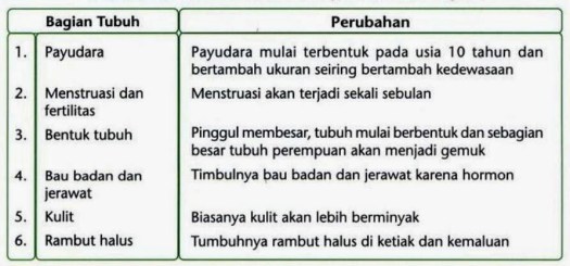 Get Bagian Tubuh Perempuan Yang Akan Menjadi Lebih Halus Ketika Masa Pubertas Adalah
Background