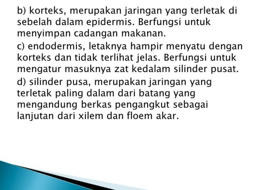 Download Jaringan Tumbuhan Yang Berfungsi Untuk Menyimpan Bahan Makanan Cadangan Adalah
&nbsp;Gif