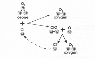 View Dampak Yang Ditimbulkan Dari Penggunaan Gas Cfc Pada Kulkas Adalah
PNG