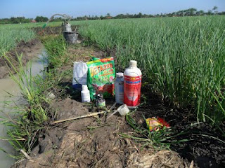 Download Para Petani Sebaiknya Tidak Menggunakan Pestisida Secara Berlebihan Karena Dapat
&nbsp;Background