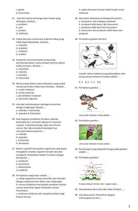 34+ Penghilangan Komponen Konsumen 1 Pada Suatu Ekosistem Kolam Akan Menyebabkan
&nbsp;Pictures