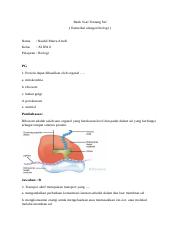 24+ Pembentukan Lapisan Gabus Pada Batang Suatu Tumbuhan Dikotil Merupakan Aktivitas
&nbsp;Pics