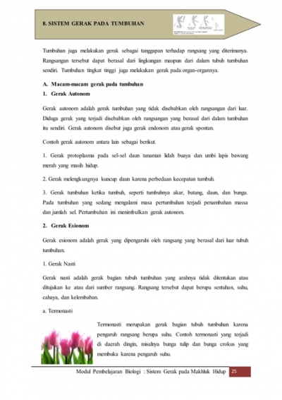 33+ Contoh Gerak Tumbuhan Berikut Yang Bukan Merupakan Contoh Dari Gerak Nasti Adalah
&nbsp;Background