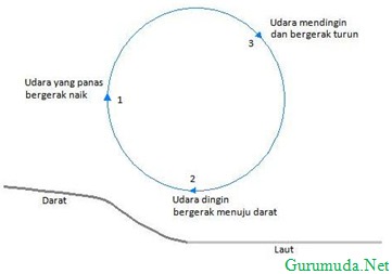 View Terjadinya Angin Darat Dan Angin Laut Termasuk Perpindahan Panas Secara
Gif