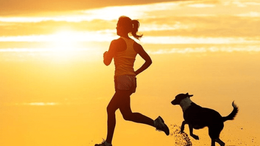 10+ Salah Satu Pengukuran Daya Tahan Jantung Dan Paru-Paru Adalah
&nbsp;PNG