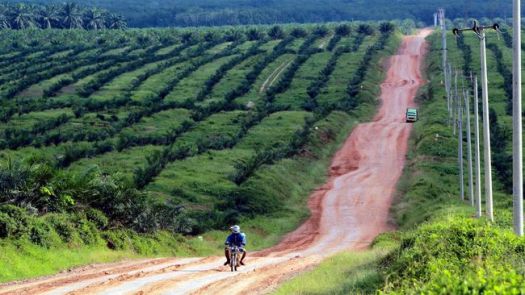 View Denda Maksimal Yang Dibayar Oleh Para Pelanggar Hak Cipta Adalah
&nbsp;Background