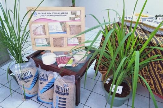 26+ Penemuan Bibit Unggul Pada Hewan Dan Tumbuhan Dilakukan Melalui Proses
&nbsp;PNG