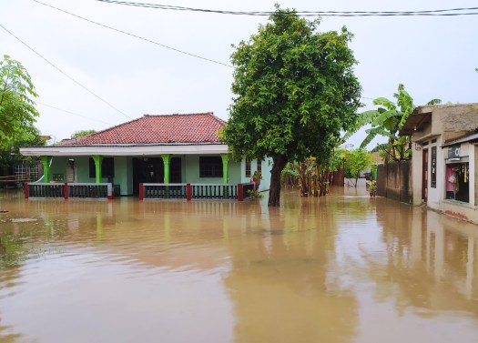 Download Bangunan Liar Yang Berada Di Pinggir Sungai Dapat Menyebabkan Terjadinya Bencana
&nbsp;Pictures