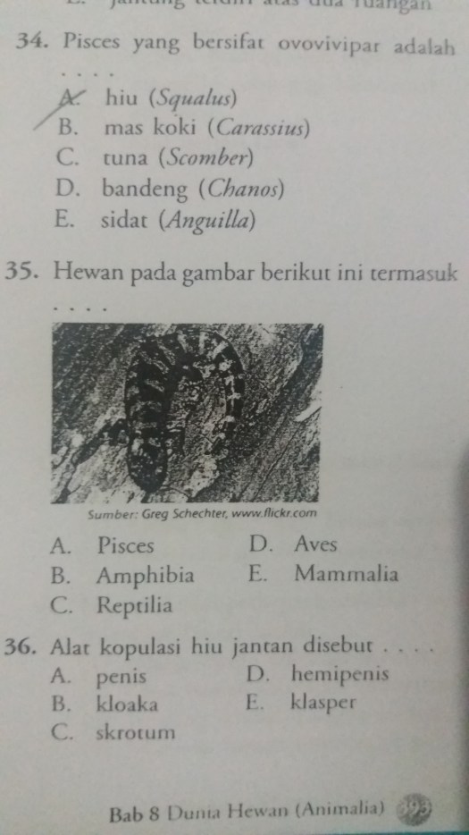 44+ Sekumpulan Sel Yang Memiliki Bentuk Dan Fungsi Yang Sama Disebut&nbsp;Gif