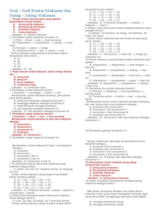 42+ Kumpulan Dari Beberapa Rantai Makanan Di Dalam Sebuah Ekosistem Disebut
&nbsp;Pictures