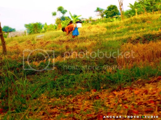 Get Negara Agraris Adalah Negara Yang Sebagian Besar Penduduknya Bekerja Sebagai
&nbsp;Images