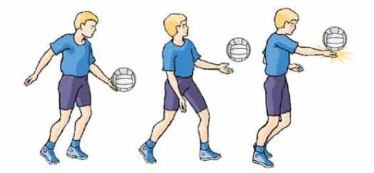 32+ Tampilan Telapak Tangan Pada Saat Melakukan Servis Bola Voli Adalah
PNG