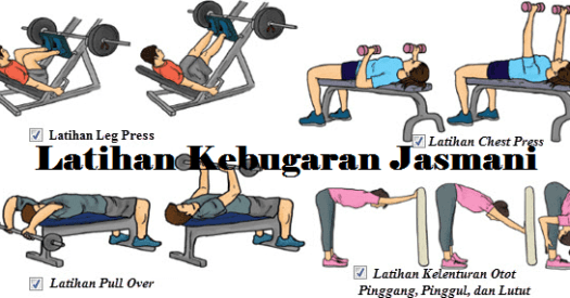 View Perubahan Yang Disebabkan Oleh Latihan Dalam Berbagai Organ Tubuh Disebut
&nbsp;Background