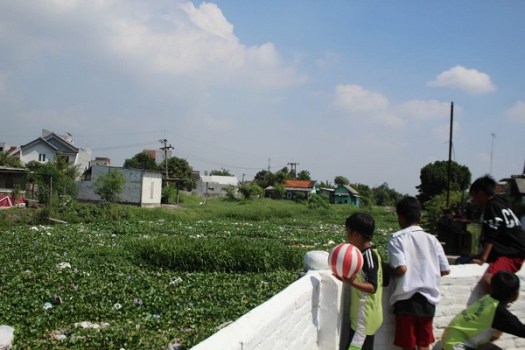 Tags bagian eceng gondok yang digunakan untuk bahan kerajinan anyaman adalah. Bahan Kerajinan Anyaman Dari Eceng Gondok