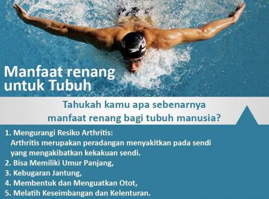 15+ Olahraga Renang Sangat Baik Untuk Kesehatan Tubuh Kita Terutama Untuk&nbsp;PNG