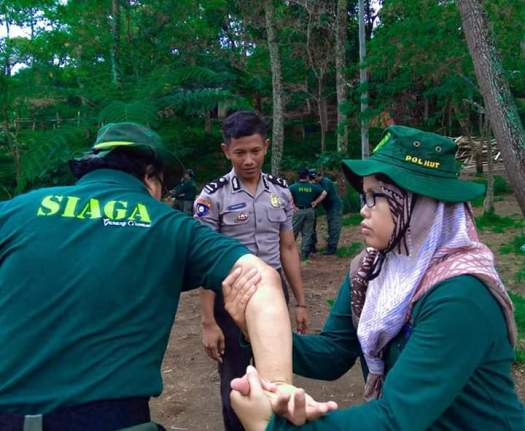 View Tindakan Apa Saja Yang Tidak Boleh Dilakukan Oleh Polisi Hutan
&nbsp;Gif