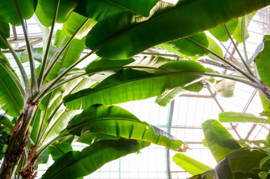 View Kemasan Yang Paling Banyak Dipakai Untuk Karya Kerajinan Dari Bahan Serat Adalah
&nbsp;Gif