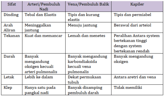 22+ Darah Yang Banyak Mengandung O2 Terdapat Dalam Pembuluh Darah Yang Mengalirkan Darah Dari
&nbsp;Background