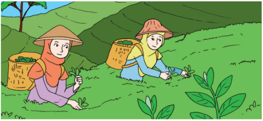 Bukan termasuk dalam usaha ekstraktif, termasuk usaha ikan hias. Jenis Usaha Dengan Mengolah Sumber Daya Alam Halaman 26 Belajar Kurikulum 2013