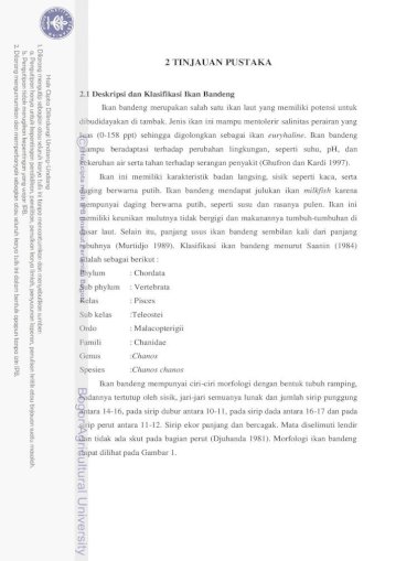 View Selain Sebagai Alat Ekskresi Ginjal Pada Ikan Juga Berfungsi Sebagai
&nbsp;Pictures